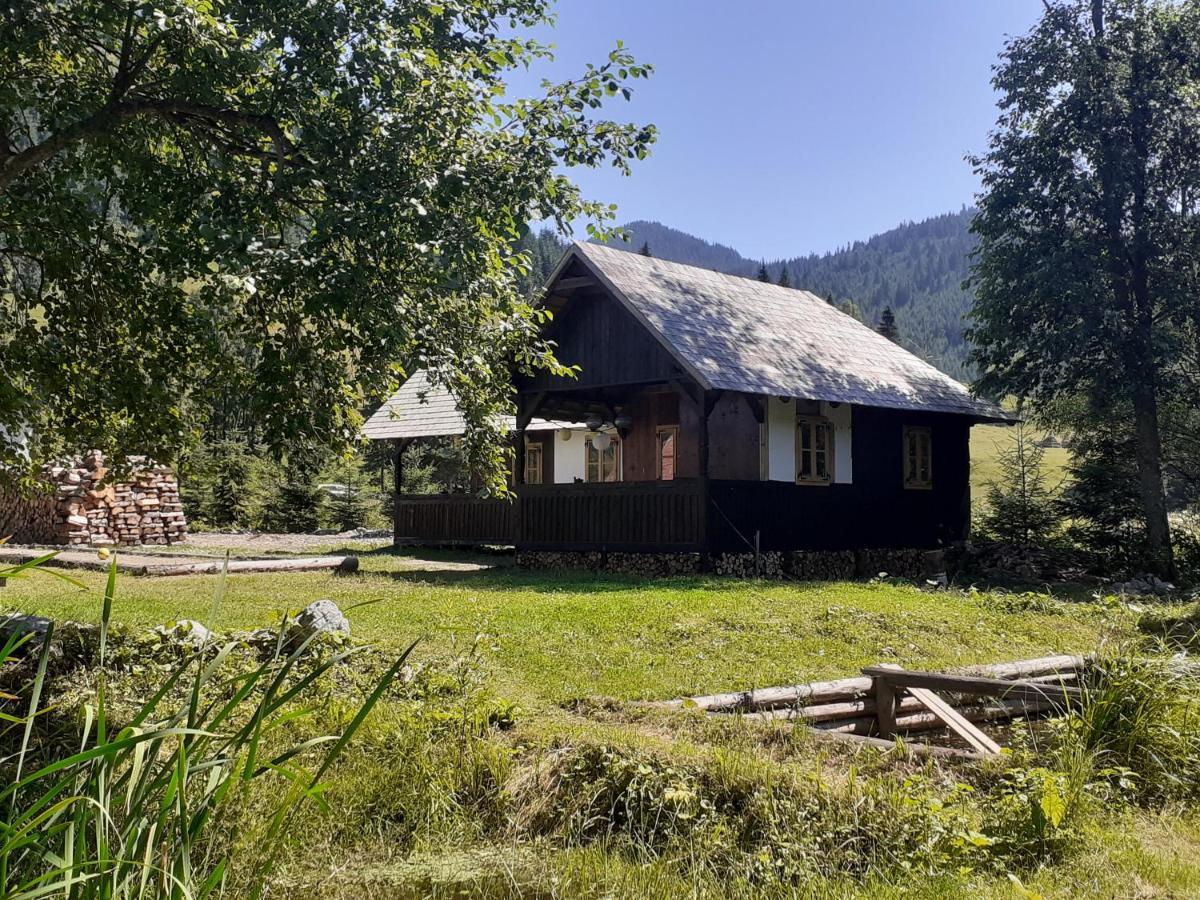 La Malu' Bistritei - Casutele Valea Stanii Hotel Buitenkant foto