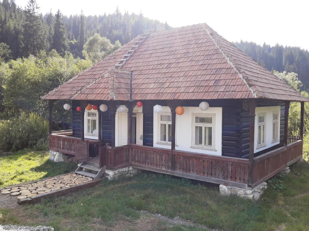 La Malu' Bistritei - Casutele Valea Stanii Hotel Buitenkant foto