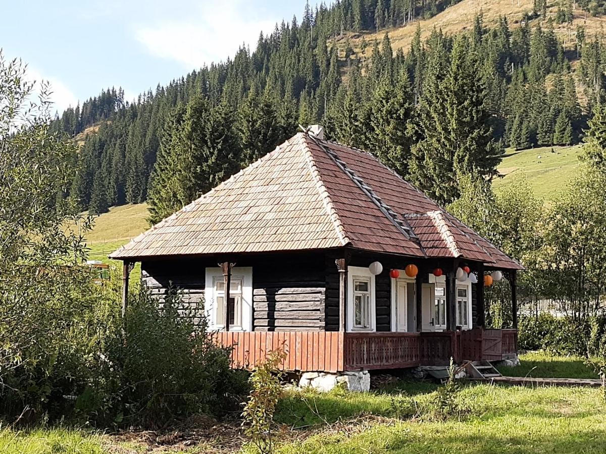 La Malu' Bistritei - Casutele Valea Stanii Hotel Buitenkant foto